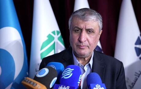 ۵۶ کشور متقاضی محصولات سازمان انرژی اتمی ایران اند