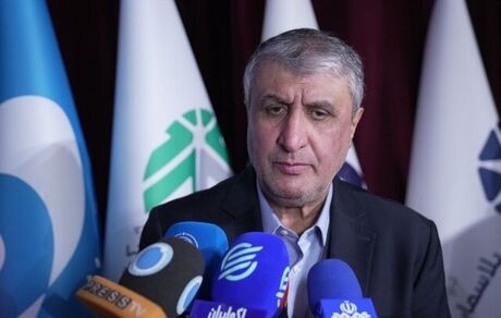 ۵۶ کشور متقاضی محصولات سازمان انرژی اتمی ایران اند