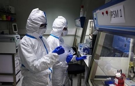 هشدار احتمال همه گیری جدید ویروس مقاوم به تب