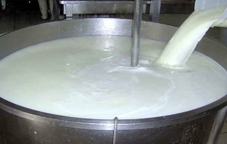 قیمت شیر خام افزایش یافت