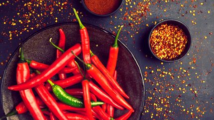 این غذا، تندترین غذای دنیاست / فلفل برای سلامتی و روحیه مفید است