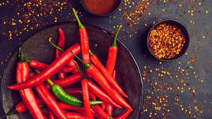 این غذا، تندترین غذای دنیاست / فلفل برای سلامتی و روحیه مفید است