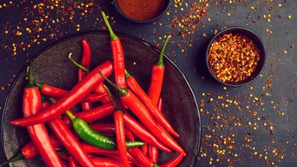 این غذا، تندترین غذای دنیاست / فلفل برای سلامتی و روحیه مفید است