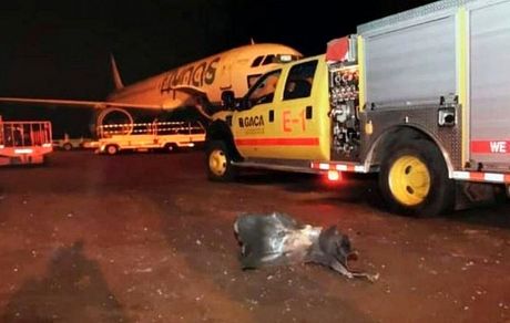 حمله دوباره یمنی‌ها به عربستان