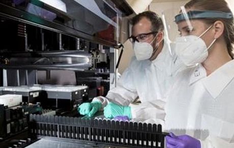 دانشمندان، آلزایمر را در موش‌ها درمان کردند