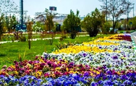 کاشت ۹ میلیون بوته انواع گل در تبریز