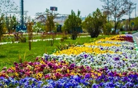 کاشت ۹ میلیون بوته انواع گل در تبریز