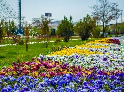 کاشت ۹ میلیون بوته انواع گل در تبریز