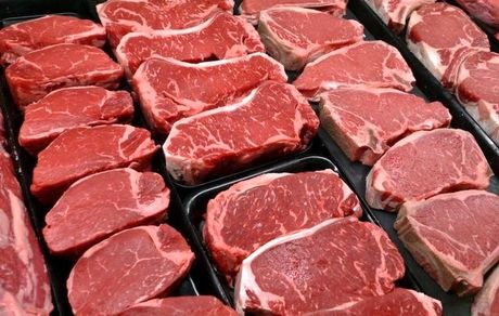 آغاز توزیع گسترده گوشت قرمز با نرخ دولتی