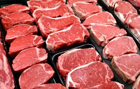 آغاز توزیع گسترده گوشت قرمز با نرخ دولتی