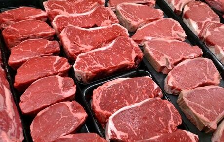 آغاز توزیع گسترده گوشت قرمز با نرخ دولتی