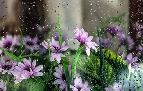 اکثر استان‌ها تا ۴ روز آینده بارش دارند