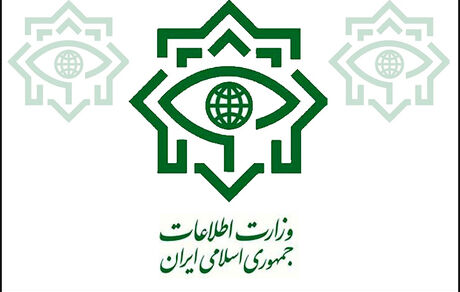 وزارت اطلاعات : اختلاس و ارتشاء یک شرکت نهاده‌های دامی صحت ندارد