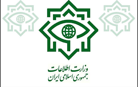 وزارت اطلاعات : اختلاس و ارتشاء یک شرکت نهاده‌های دامی صحت ندارد