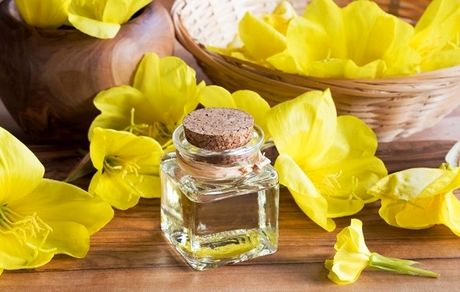 خواص دارویی گل مغربی در انواع بیماری‌ها