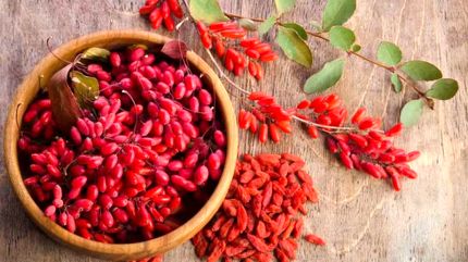 چرا زرشک مصرف کنیم؟