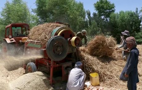 دیده‌بان حقوق بشر: طالبان هزاران شیعه هزاره را از خانه‌هایشان بیرون کرده است