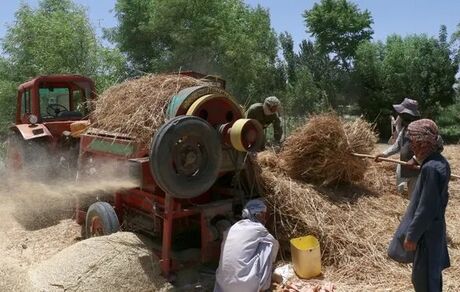 دیده‌بان حقوق بشر: طالبان هزاران شیعه هزاره را از خانه‌هایشان بیرون کرده است