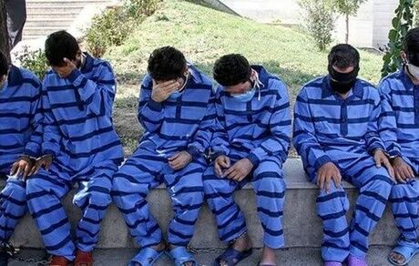 دستگیری ۶ نفر از عاملان قطع گسترده درختان در مشگین شهر