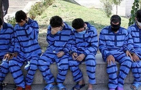 دستگیری ۶ نفر از عاملان قطع گسترده درختان در مشگین شهر
