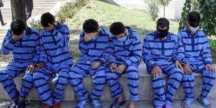 دستگیری ۶ نفر از عاملان قطع گسترده درختان در مشگین شهر