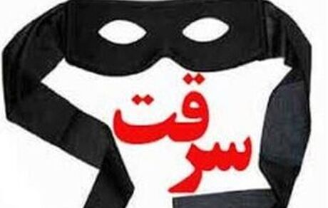 سرقت به شیوه جدید: مرد ۳۴ ساله با وعده کار از زنان زورگیری می‌کرد