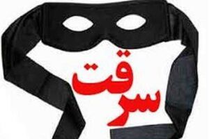 سرقت به شیوه جدید: مرد ۳۴ ساله با وعده کار از زنان زورگیری می‌کرد