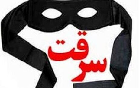 سرقت به شیوه جدید: مرد ۳۴ ساله با وعده کار از زنان زورگیری می‌کرد