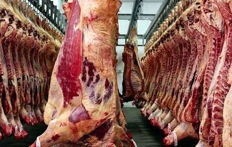 عرضه بیش از ۵۴ هزار تن گوشت قرمز در اسفند ۱۴۰۰