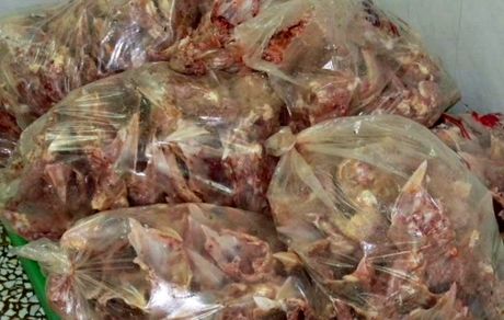 کشف ۶ تن گوشت منجمد تنظیم بازار احتکار شده در بندرعباس