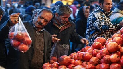 مشکلی در عرضه میوه شب یلدا نداریم