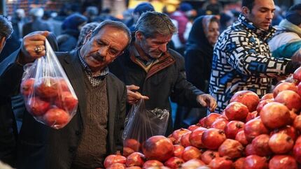 مشکلی در عرضه میوه شب یلدا نداریم