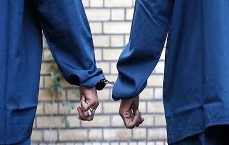  سه تن از پرسنل نیروگاهی به اتهام خرابکاری در سیستم توزیع برق دستگیر شدند