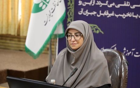 اسقاط نیم میلیون خودروی فرسوده در دو سال اخیر