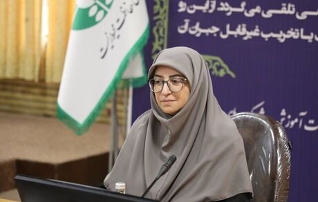 اسقاط نیم میلیون خودروی فرسوده در دو سال اخیر