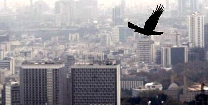 هوای تهران آلوده است