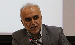 دژپسند: لزوم بکارگیری حداکثر تسهیلات برای ترخیص کالا‌های اساسی