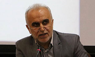 دژپسند: لزوم بکارگیری حداکثر تسهیلات برای ترخیص کالا‌های اساسی