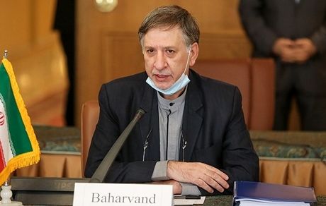  بهاروند: غرامتی که برای جان‌باختگان هواپیمای اوکراینی تعیین کرده‌ایم، بالاتر از تعهد ماست