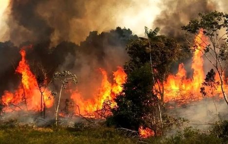 ۲ هکتار از عرصه‌های جنگلی استان گیلان سوخت