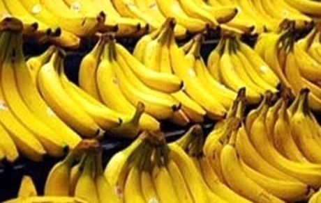 تعیین تکلیف واردات موز/ واردکنندگان حواسشان را جمع کنند!