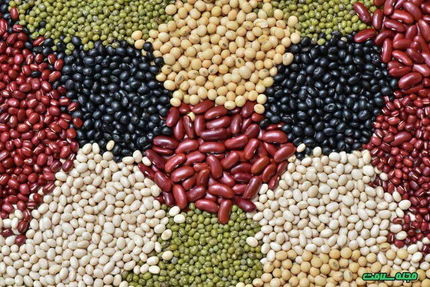 افزایش ۳۰ تا ۳۵ درصدی قیمت حبوبات 