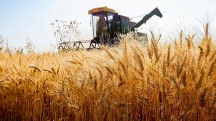 تاکید بر استفاده گندم‌کاران از کمباین‌های دارای معاینه فنی