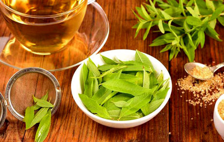 دمنوش به لیمو، یار دیرین معده