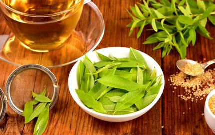 دمنوش به لیمو، یار دیرین معده