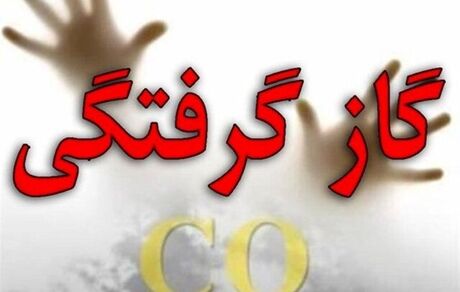 مسمومیت ۵ نفر با گاز مونوکسید کربن در پلدشت