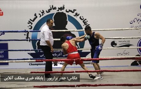 آغاز رقابت‌های‌ بوکس قهرمانی بزرگسالان کشور