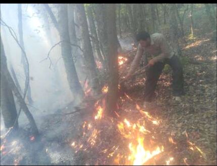 مهار  آتش سوزی جنگل کجور