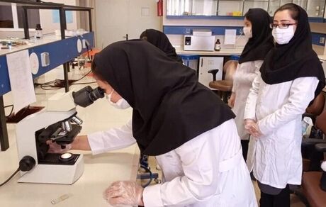 علیپور: برای رفع کمبود پزشک باید ظرفیت جذب دانشجو افزایش پیدا کند