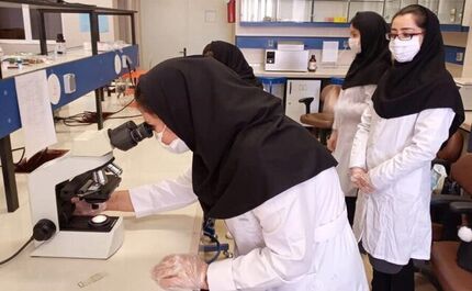 علیپور: برای رفع کمبود پزشک باید ظرفیت جذب دانشجو افزایش پیدا کند